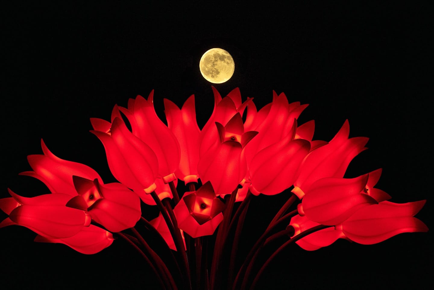 BÜYÜKŞEHİR OBJEKTİFİNDEN SÜPER DOLUNAY TUTULMASI: GÖRSEL ŞÖLEN