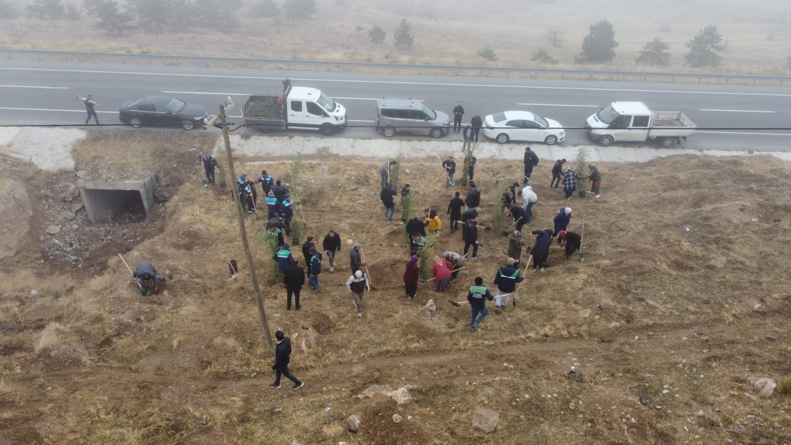 Büyükşehir’in fidan dikim programına ilçe belediye görevlileri ve vatandaşlar da dayanışma gösterdi.