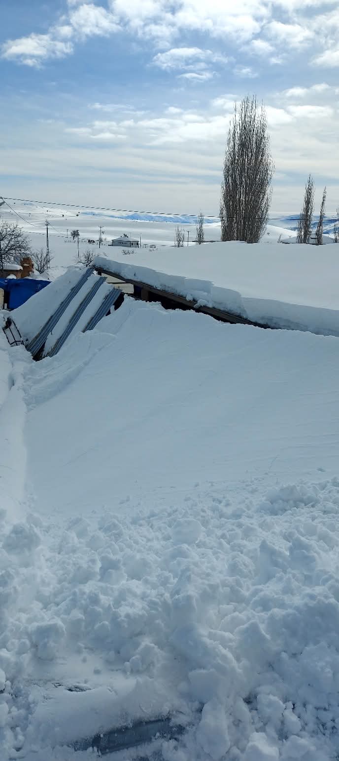 DEVELİ ÇOMAKLI KÖYÜNDE YOĞUN KAR NEDENİYLE BESİ İŞLETMESİNİN ÇATISI ÇÖKTÜ 