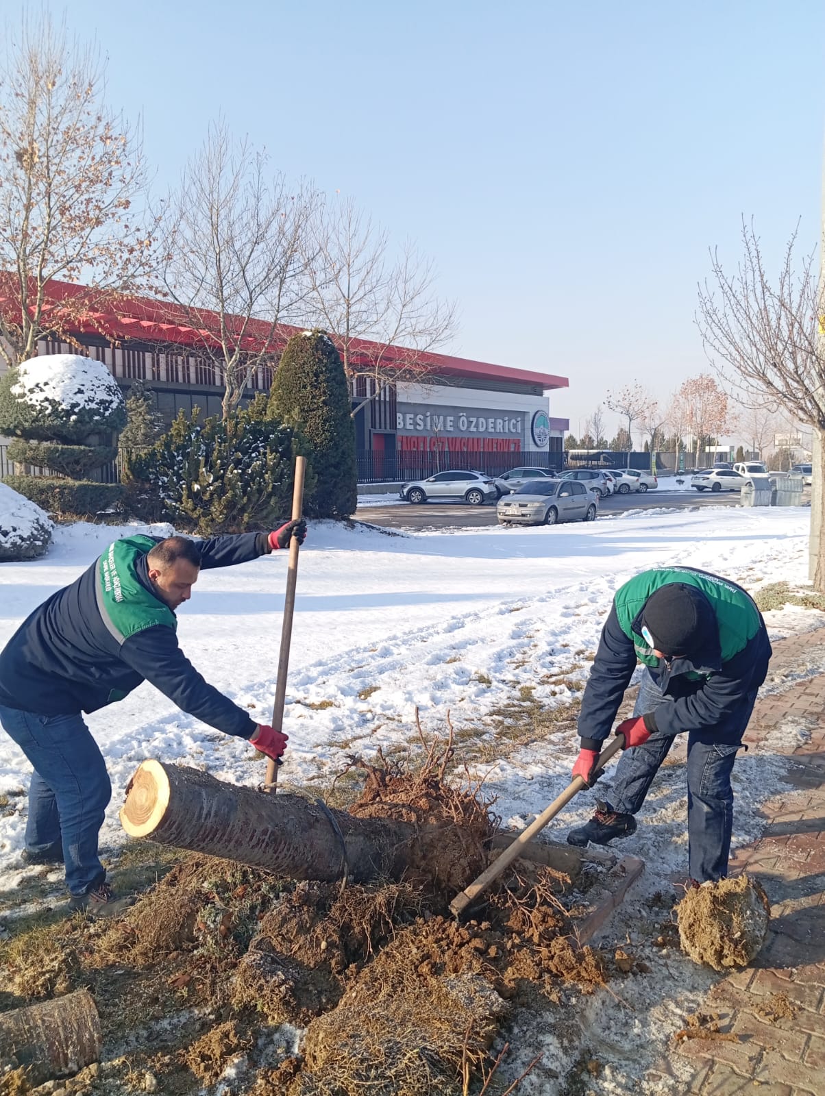 KAYSERİ BÜYÜKŞEHİR’DEN KIŞ ÇALIŞMALARINDA AĞAÇ GÜVENLİĞİ SEFERBERLİĞİ